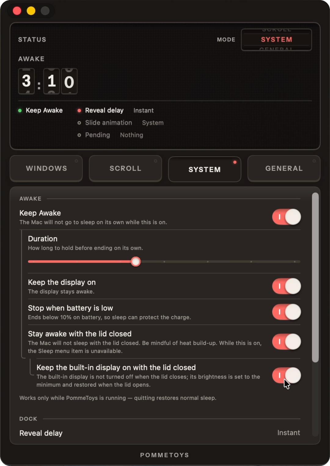 The Keep Awake section on the System page, with both lid-closed options on